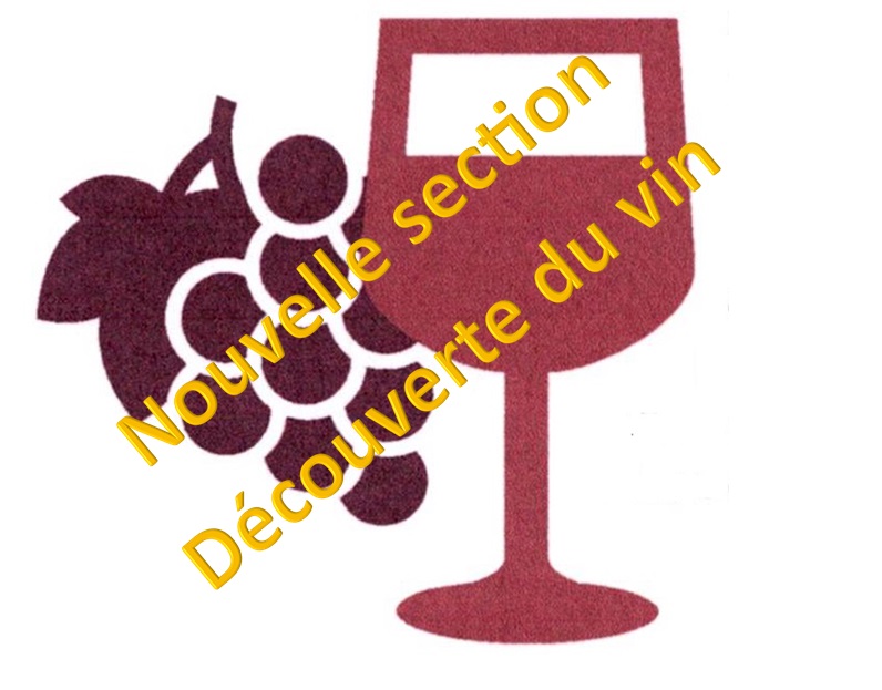 DÉCOUVERTE DU VIN